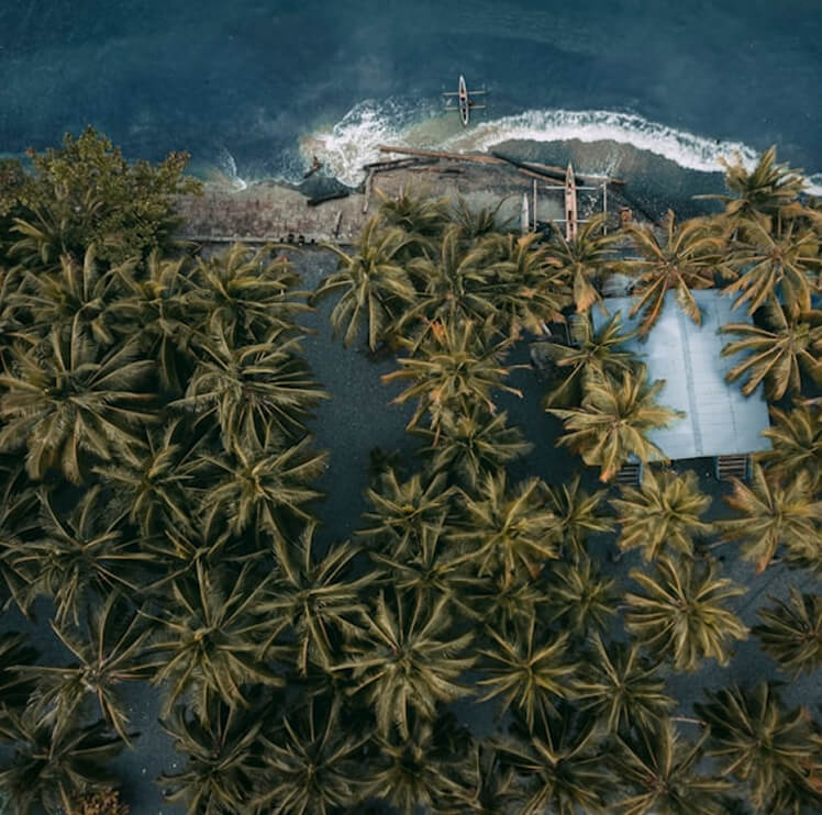 Drone shot with trees
