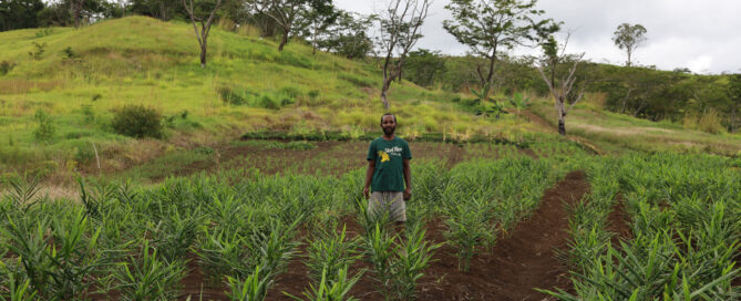 Farmer Standing on the field