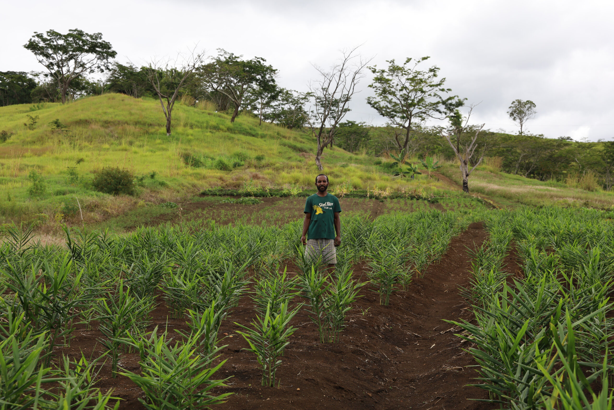 Farmer Standing on the field