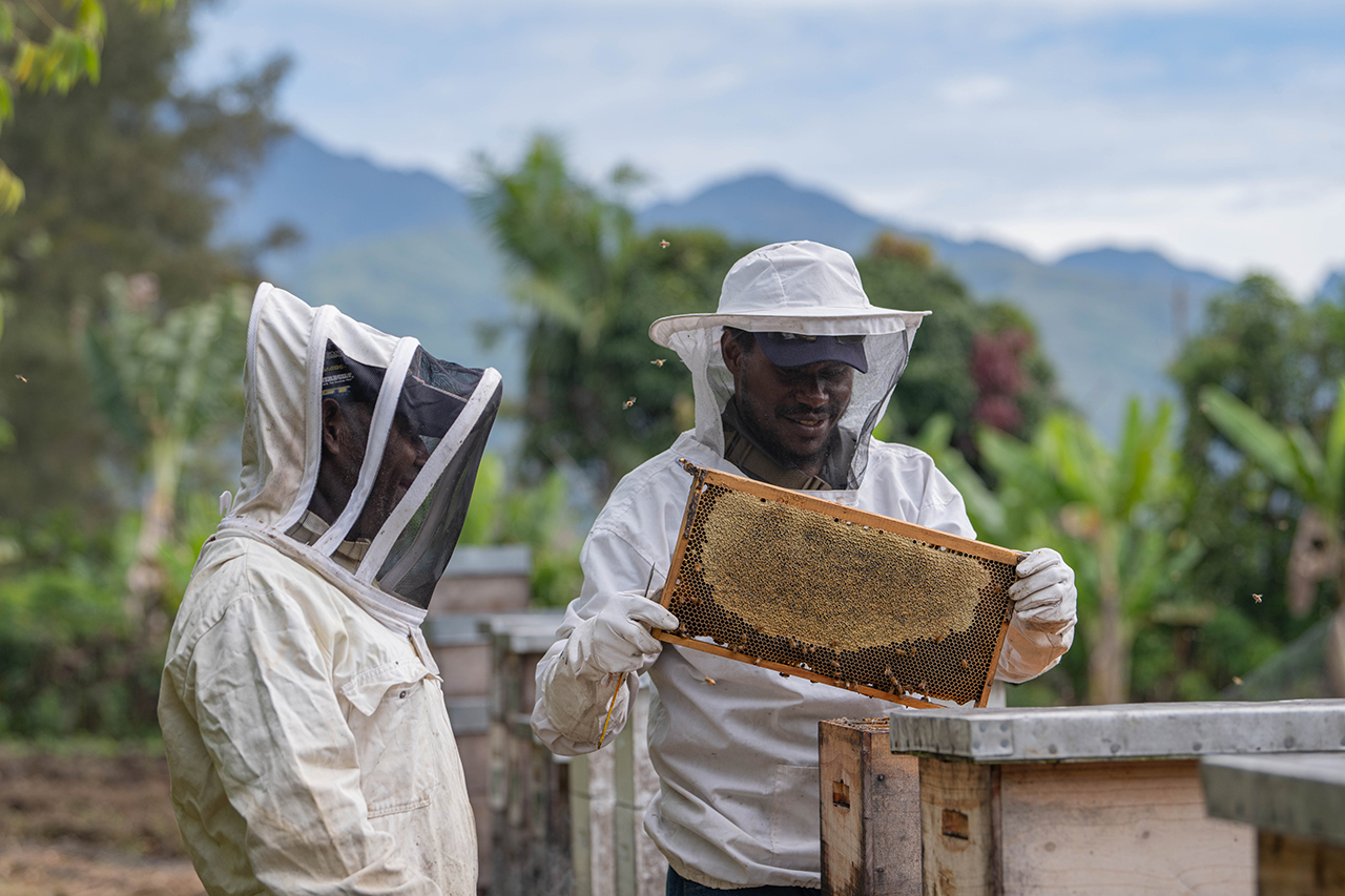 Farmers Getting Fresh Honey
