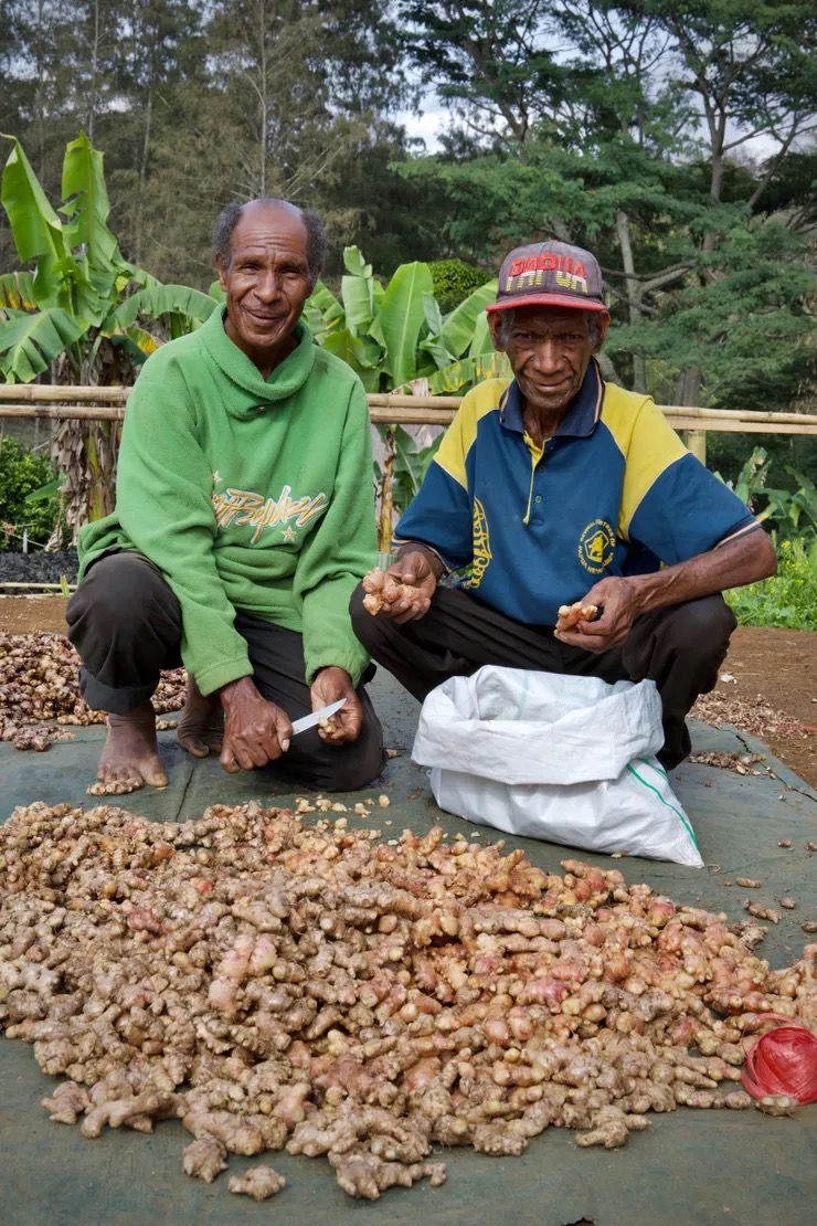 Happy Farmers