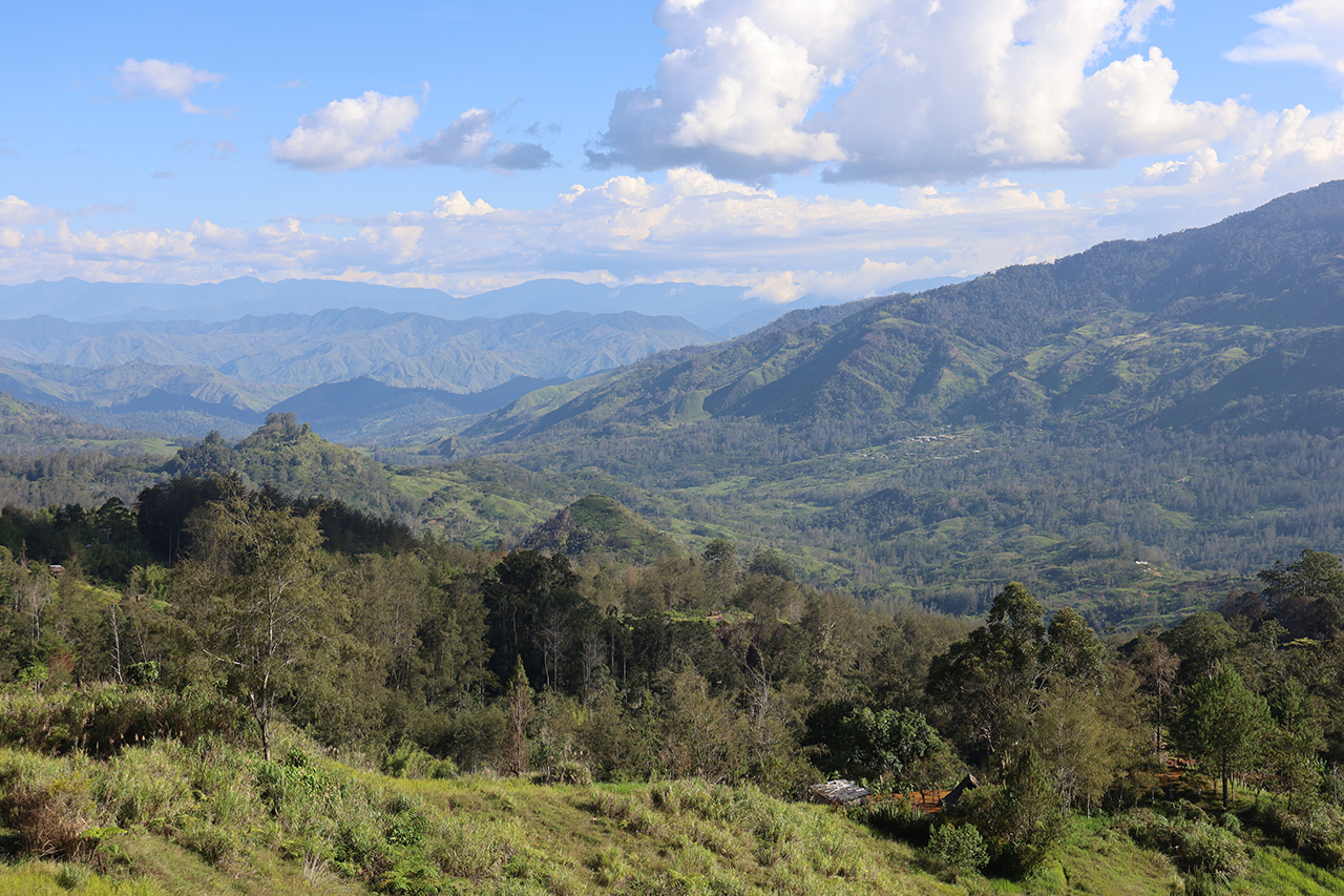 Mountain view