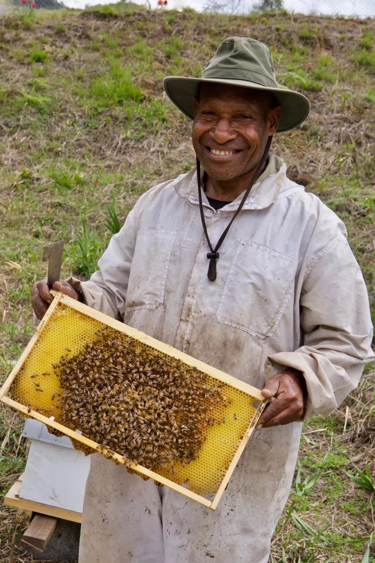 Person showing bees